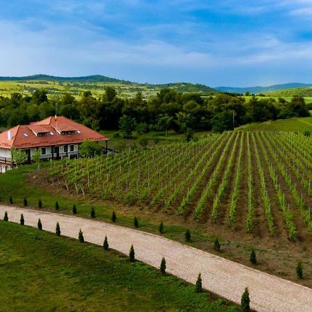 Pensiunea Sonnenhof Sighişoara Exteriér fotografie