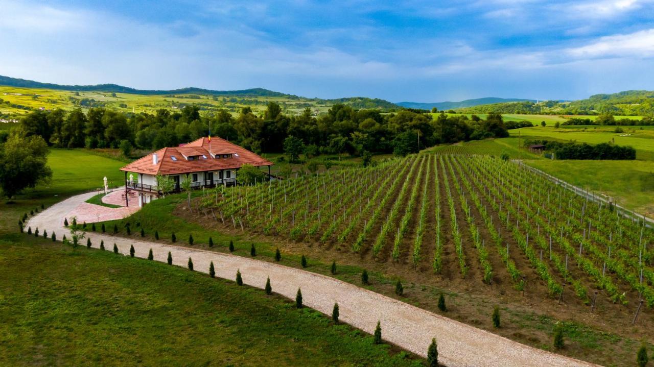 Pensiunea Sonnenhof Sighişoara Exteriér fotografie